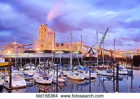 "Yachts docked in harbor under illuminated city skyline, Seattle, Washington, United States" View Large Photo Image Picture - "Yachts docked in harbor under illuminated city skyline, Seattle, Washington, United States". Fotosearch