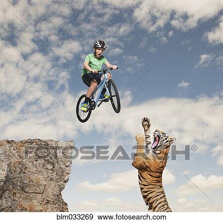 Stock Photo - Caucasian boy jumping mountain bike over roaring tiger. Fotosearch