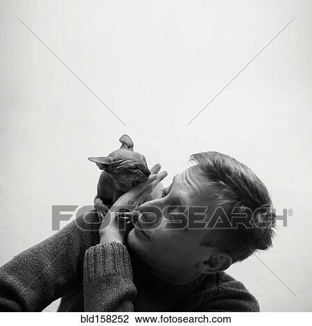 Caucasian man playing with hairless cat on shoulder View Large Photo Image Stock Image - Caucasian man playing with hairless cat on shoulder. Fotosearch