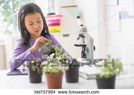 Picture - Chinese student examining plants in science lab. Fotosearch
