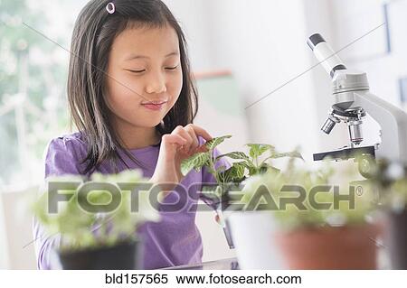 Chinese student examining plants in science lab View Large Photo Image Stock Photography - Chinese student examining plants in science lab. Fotosearch