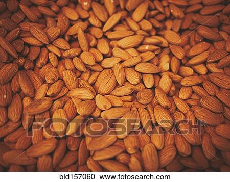 Close up of pile of almonds View Large Photo Image Stock Image - Close up of pile of almonds. Fotosearch
