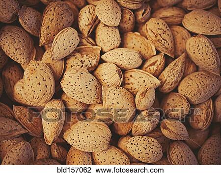 Close up of pile of almonds View Large Photo Image Stock Image - Close up of pile of almonds. Fotosearch