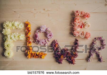 Stock Photograph - Flower spelled with flowers. Fotosearch