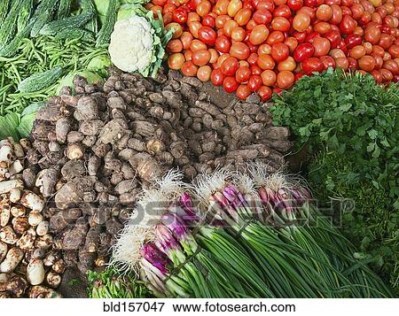 Fresh vegetables for sale in market View Large Photo Image Stock Photo - Fresh vegetables for sale in market. Fotosearch