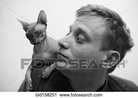 Hairless cat sitting on shoulder of Caucasian man View Large Photo Image Stock Image - Hairless cat sitting on shoulder of Caucasian man. Fotosearch