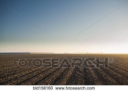 High angle view of farm crop fields under blue sky View Large Photo Image Stock Image - High angle view of farm crop fields under blue sky. Fotosearch
