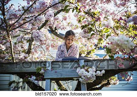 Stock Image - Mixed race girl reading book in tree house. Fotosearch