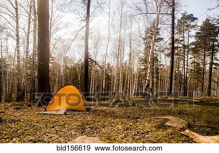 Stock Photo - Tent at campsite in rural forest. Fotosearch