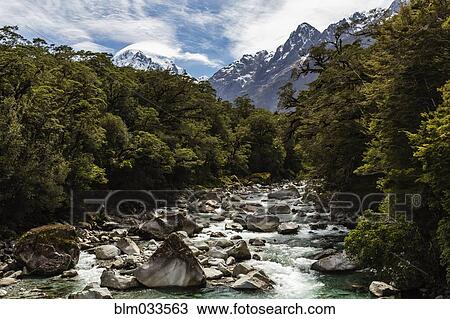 Rocky river under mountains and forest trees View Large Photo Image Stock Image - Rocky river under mountains and forest trees. Fotosearch