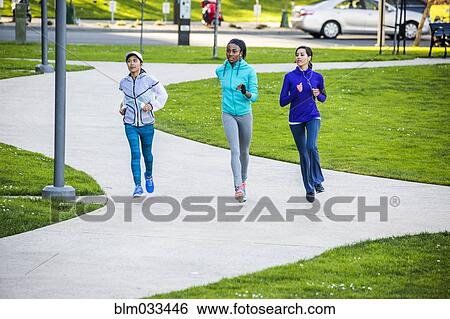 Women running in park View Large Photo Image Stock Photograph - Women running in park. Fotosearch