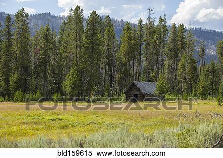 Abandoned rustic cabin in remote field View Large Photo Image Stock Photography - Abandoned rustic cabin in remote field. Fotosearch