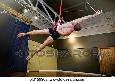Caucasian acrobat hanging from ropes in studio View Large Photo Image Stock Photo - Caucasian acrobat hanging from ropes in studio. Fotosearch