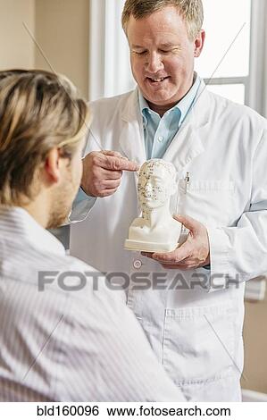 Stock Photograph - Caucasian acupuncturist showing patient carved bust with diagram. Fotosearch