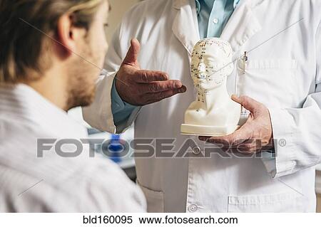 Stock Photography - Caucasian acupuncturist showing patient carved bust with diagram. Fotosearch