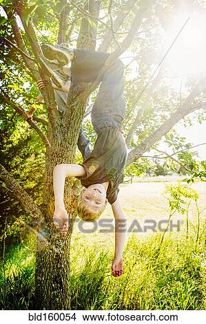 Caucasian boy hanging from tree View Large Photo Image Picture - Caucasian boy hanging from tree. Fotosearch