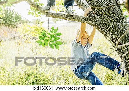 Stock Image - Caucasian boys climbing tree. Fotosearch