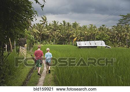 Stock Image - Caucasian boys walking on grass road near farm fields. Fotosearch
