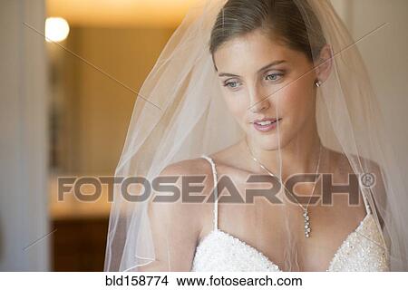 Caucasian bride wearing wedding gown and veil View Large Photo Image Picture - Caucasian bride wearing wedding gown and veil. Fotosearch