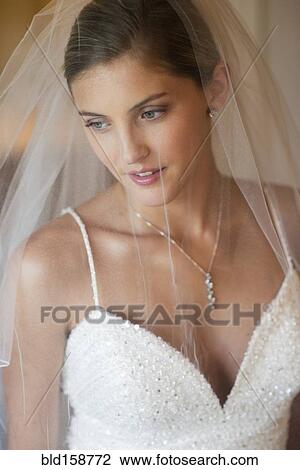 Caucasian bride wearing wedding gown and veil View Large Photo Image Stock Image - Caucasian bride wearing wedding gown and veil. Fotosearch