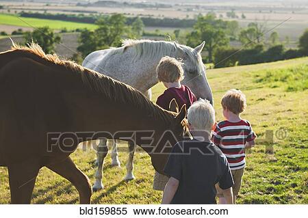Stock Photography - Caucasian brothers petting horses in rural field. Fotosearch