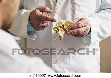 Caucasian doctor showing patient bone model View Large Photo Image Stock Photo - Caucasian doctor showing patient bone model. Fotosearch