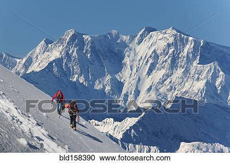 Caucasian hikers climbing snowy mountain, Monte Rosa, Piedmont, Italy View Large Photo Image Stock Image - Caucasian hikers climbing snowy mountain, Monte Rosa, Piedmont, Italy. Fotosearch