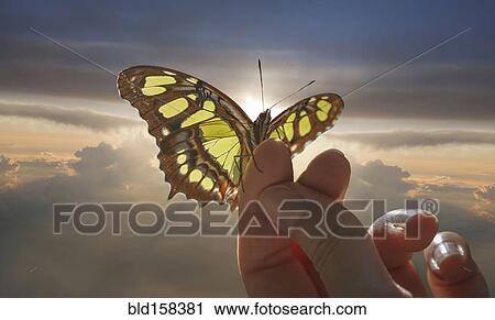 Stock Image - Caucasian woman holding butterfly in cloudy sky. Fotosearch
