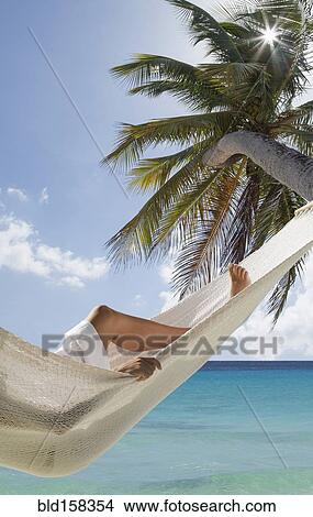 Picture - Caucasian woman laying in hammock under palm tree near ocean. Fotosearch