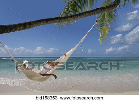 Stock Image - Caucasian woman laying in hammock under palm tree on tropical beach. Fotosearch