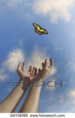 Caucasian woman reaching for butterfly in blue sky View Large Photo Image Stock Image - Caucasian woman reaching for butterfly in blue sky. Fotosearch