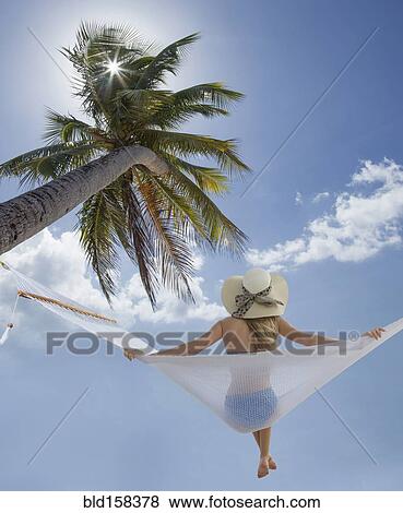 Caucasian woman sitting in hammock under palm tree View Large Photo Image Stock Photo - Caucasian woman sitting in hammock under palm tree. Fotosearch