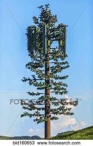 Stock Image - Cell tower disguised as tree under blue sky. Fotosearch