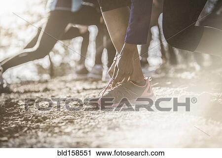 Close up of athlete tying shoe View Large Photo Image Stock Image - Close up of athlete tying shoe. Fotosearch