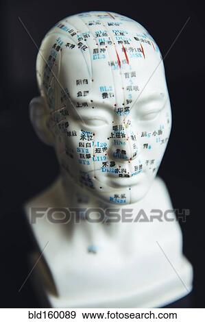 Stock Photo - Close up of carved bust with acupuncture diagram. Fotosearch