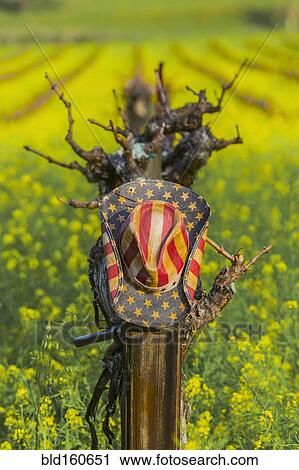 Stock Image - Close up of cowboy hat on rural vineyard vines. Fotosearch
