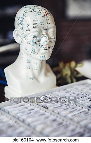 Close up of homeopathic medicine and carved bust with acupuncture diagram View Large Photo Image Picture - Close up of homeopathic medicine and carved bust with acupuncture diagram. Fotosearch