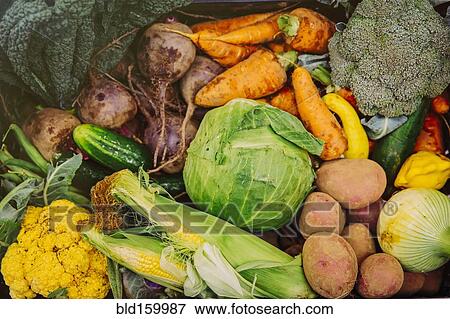 Stock Photo - Close up of pile of fresh vegetables. Fotosearch