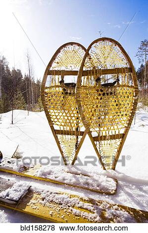 Stock Photo - Close up of snowshoes and skis in snowy field. Fotosearch