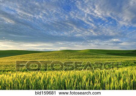 Cloudy sky over rolling hills in rural landscape View Large Photo Image Stock Image - Cloudy sky over rolling hills in rural landscape. Fotosearch