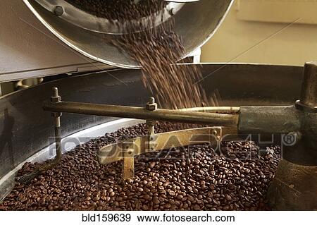 Stock Photo - Coffee beans roasting in industrial kettle. Fotosearch