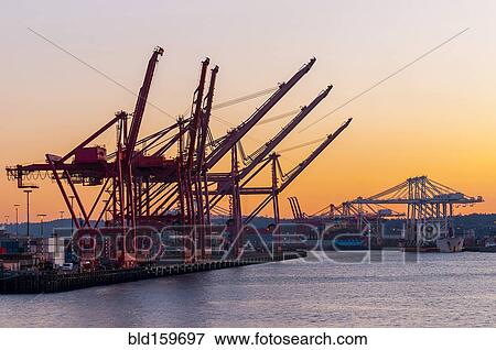 Stock Photo - Container cranes in industrial shipyard at sunrise. Fotosearch