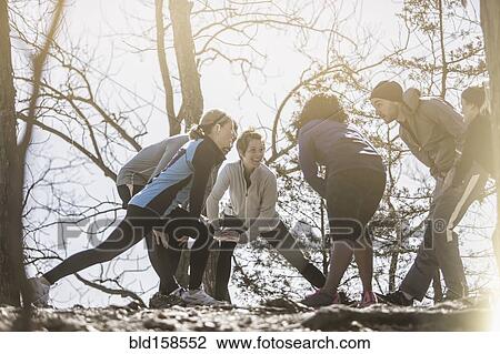 Stock Image - Low angle view of athletes stretching in forest. Fotosearch