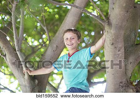 Stock Image - Low angle view of Caucasian boy climbing tree. Fotosearch