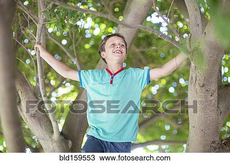 Stock Image - Low angle view of Caucasian boy climbing tree. Fotosearch