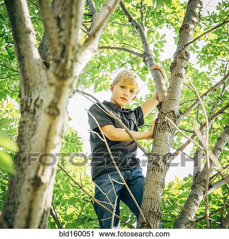Stock Image - Low angle view of Caucasian boy climbing tree. Fotosearch