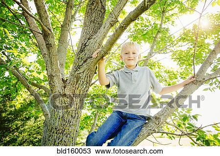 Stock Image - Low angle view of Caucasian boy climbing tree. Fotosearch