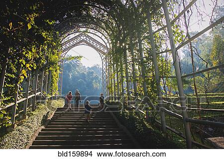 Picture - Low angle view of Caucasian brothers climbing staircase. Fotosearch