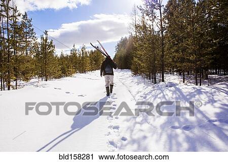 Mari man carrying skis on snowy path View Large Photo Image Stock Image - Mari man carrying skis on snowy path. Fotosearch