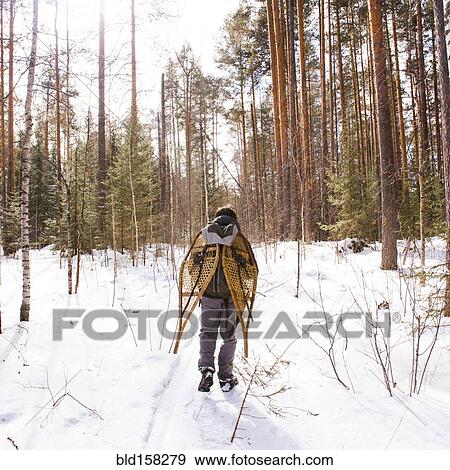 Mari man carrying snowshoes in snowy forest View Large Photo Image Stock Photo - Mari man carrying snowshoes in snowy forest. Fotosearch
